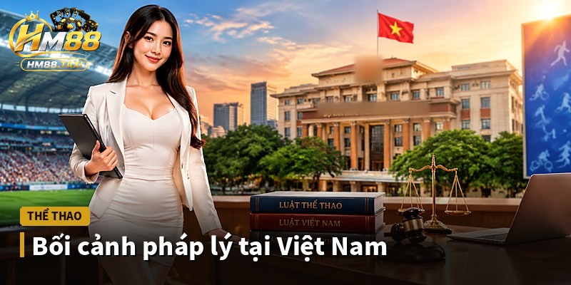 Bối cảnh pháp lý tại Việt Nam