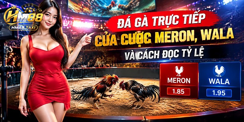 Cửa Cược Meron, Wala Và Cách Đọc Tỷ Lệ