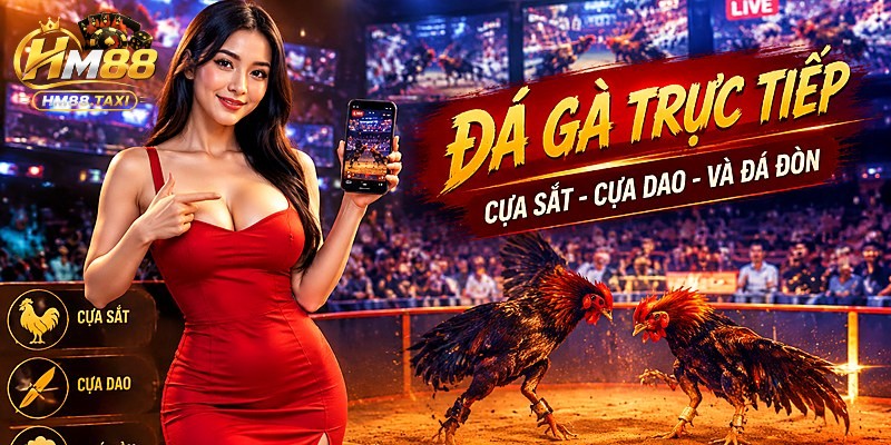 Cựa sắt, cựa dao và đá đòn