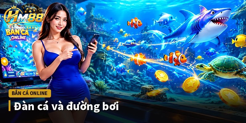Đàn cá và đường bơi