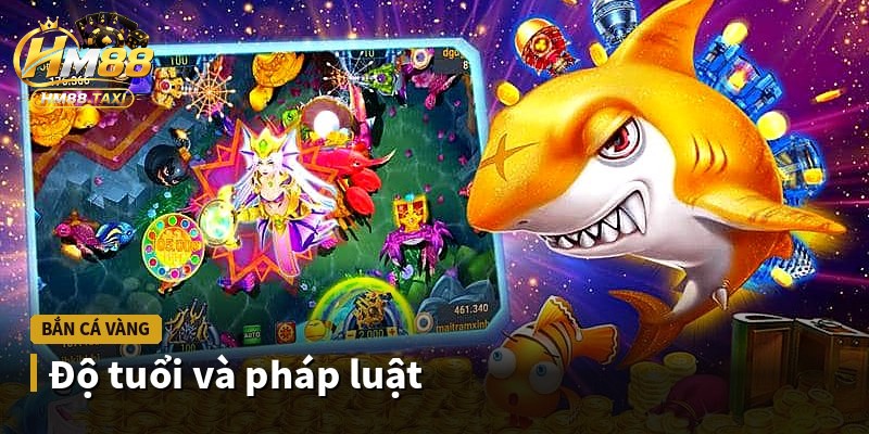 Độ tuổi và pháp luật