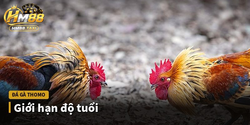 Giới hạn độ tuổi