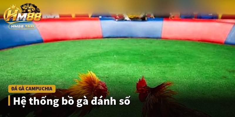 Hệ thống bồ gà đánh số