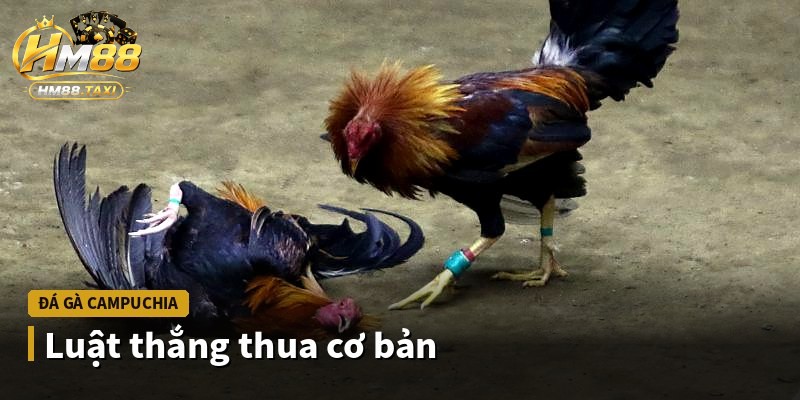 Luật thắng thua cơ bản