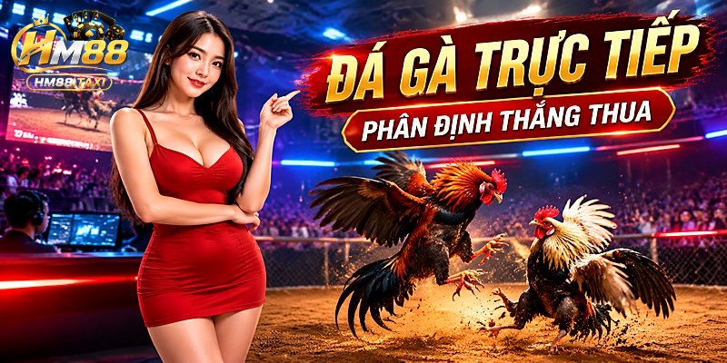 Phân định thắng thua