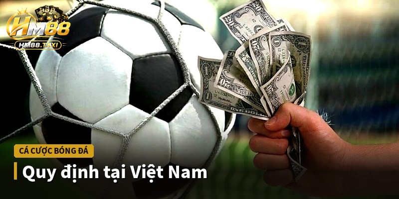Quy định tại Việt Nam