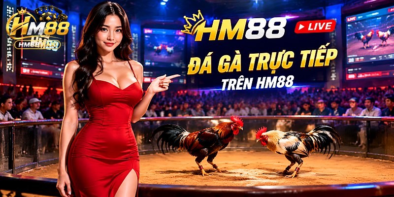 Sảnh Đá Gà Trực Tiếp Trên HM88