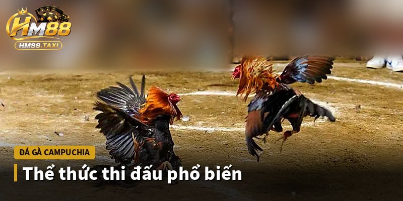 Thể thức thi đấu phổ biến