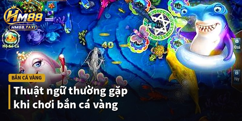 Thuật ngữ thường gặp khi chơi bắn cá vàng