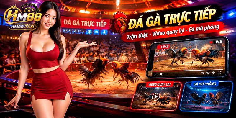 Trận thật, video quay lại và gà mô phỏng