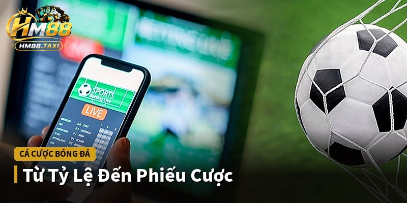 Từ Tỷ Lệ Đến Phiếu Cược