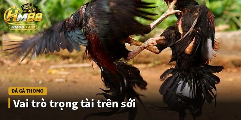 Vai trò trọng tài trên sới