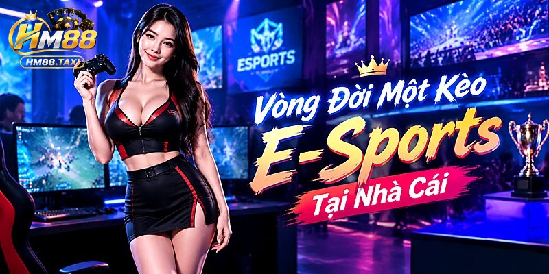 Vòng Đời Một Kèo E-Sports Tại Nhà Cái
